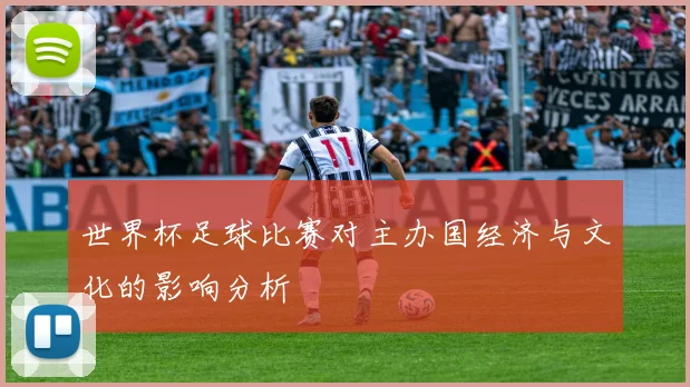 世界杯足球比赛对主办国经济与文化的影响分析