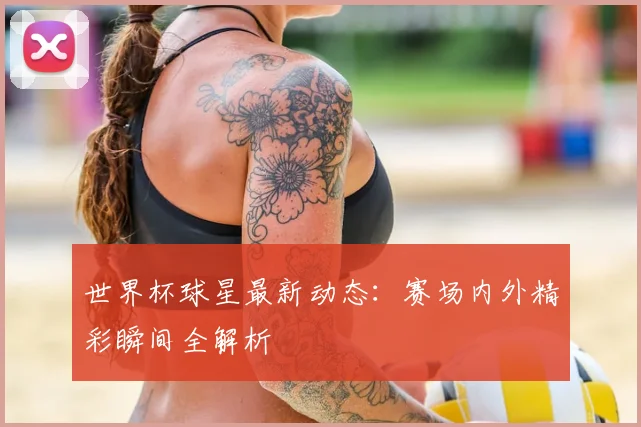 世界杯球星最新动态：赛场内外精彩瞬间全解析