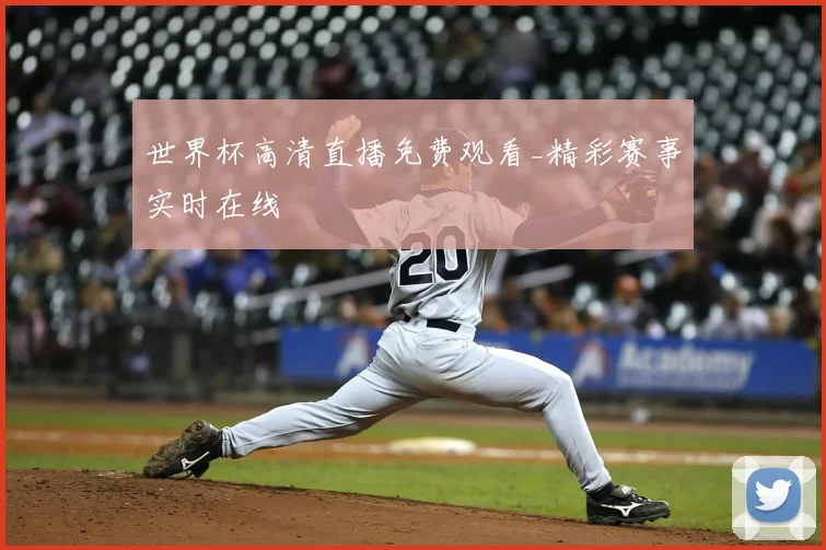 世界杯高清直播免费观看_精彩赛事实时在线