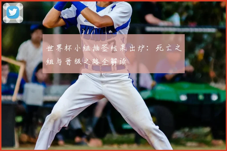 世界杯小组抽签结果出炉：死亡之组与晋级之路全解读